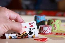 rio555
